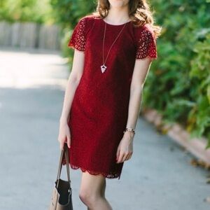 Ann Taylor Dark Red Shift Dress Lace Scalloped Short Sleeve S 4